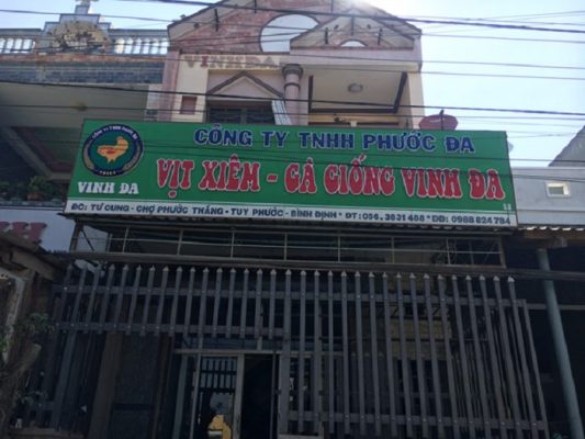 Địa chỉ mua gà con giống uy tín tại Quy Nhơn