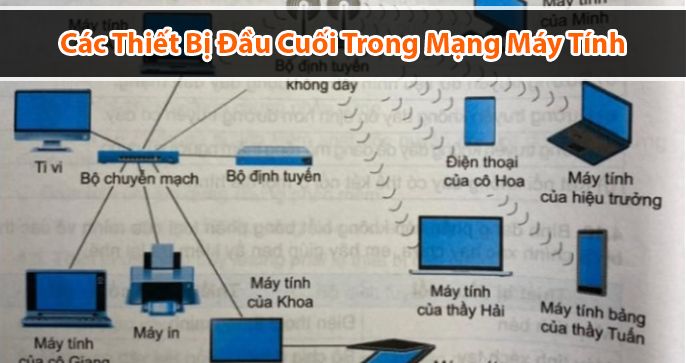 Vai trò của các thiết bị đầu cuối trong mạng máy tính?