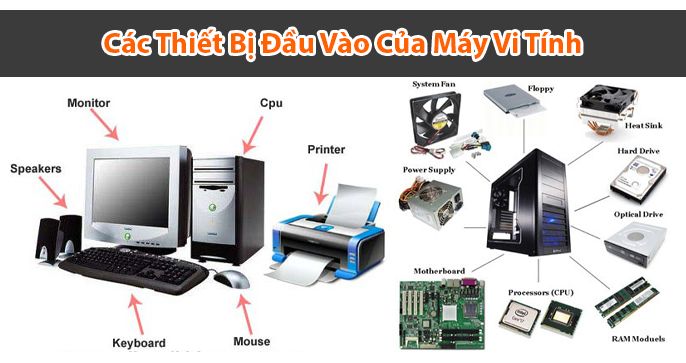 Các thiết bị vào của máy tính bao gồm những gì?