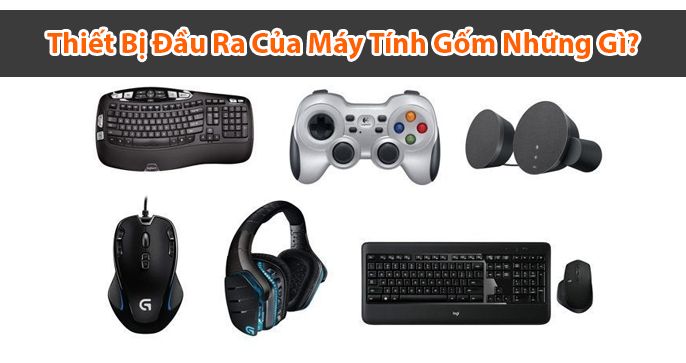 Giải đáp thắc mắc: Thiết bị ra của máy tính gồm những gì?