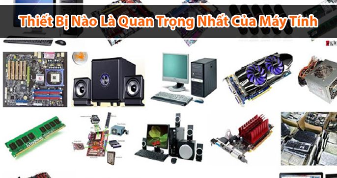 Thiết bị nào quan trọng nhất đối với máy tính? Vì sao?