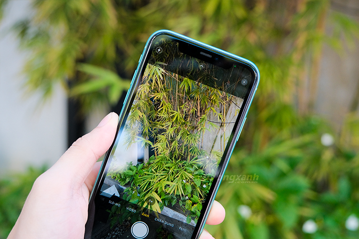 Siêu phẩm iPhone 11 tại Di Động Xanh - Dư sức hấp dẫn bạn