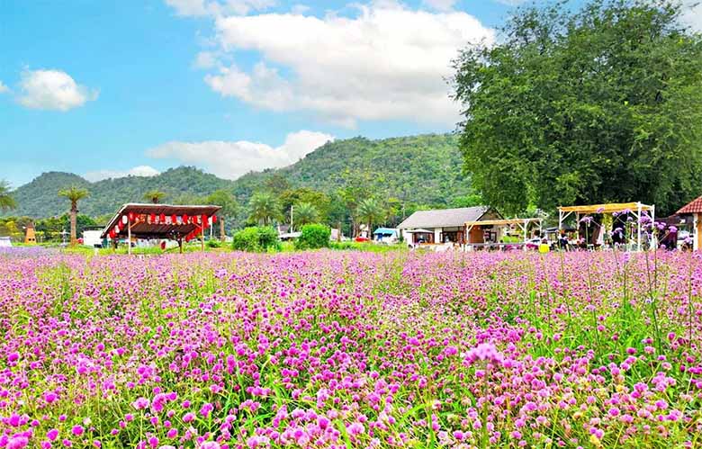 Krabi Hay Khao Yai? Hai Điểm Đến Thái Lan Được Du Khách Việt Yêu Thích Nhất Hiện Nay
